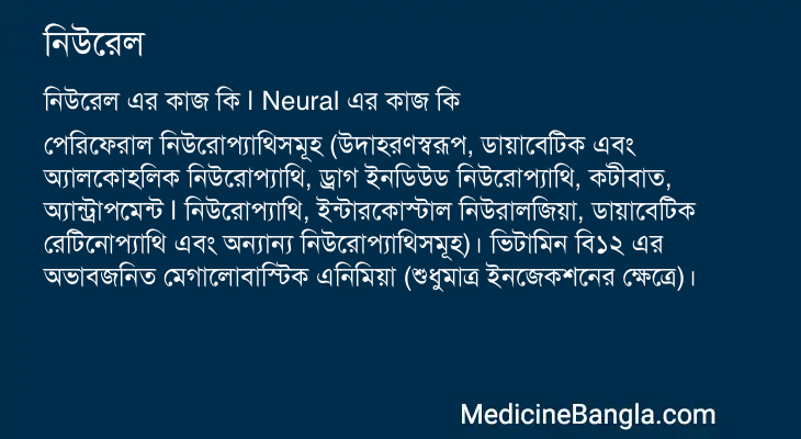 নিউরেল এর কাজ নিউরেল in Bangla