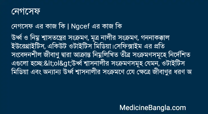 নেগসেফ এর কাজ নেগসেফ in Bangla