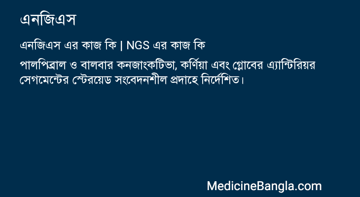 এনজিএস এর কাজ এনজিএস in Bangla