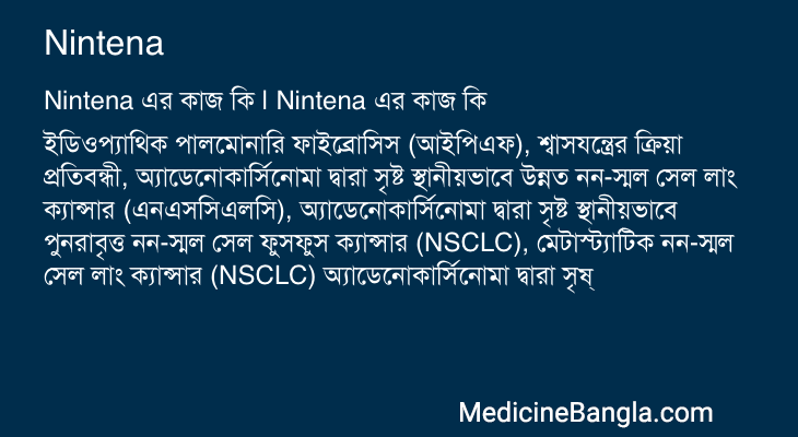 Nintena এর কাজ Nintena in Bangla