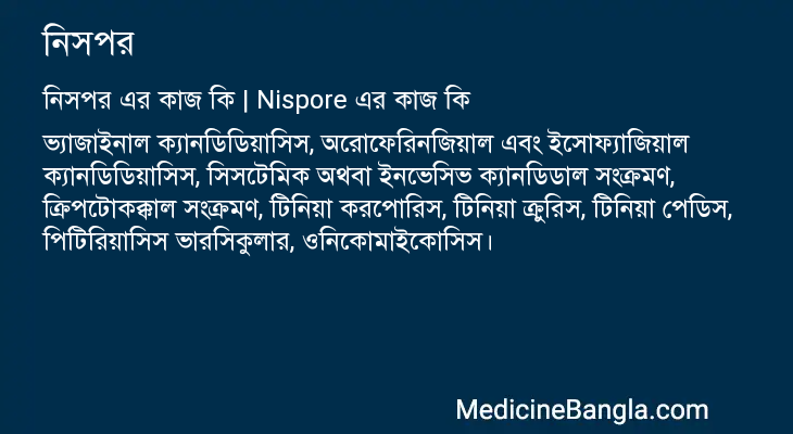 নিসপর এর কাজ নিসপর in Bangla