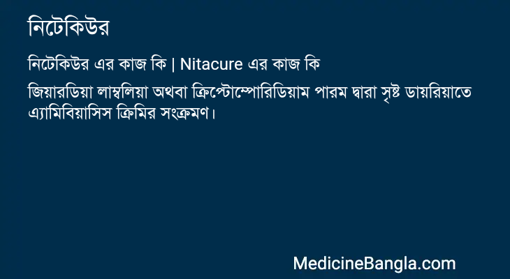 নিটেকিউর এর কাজ নিটেকিউর in Bangla