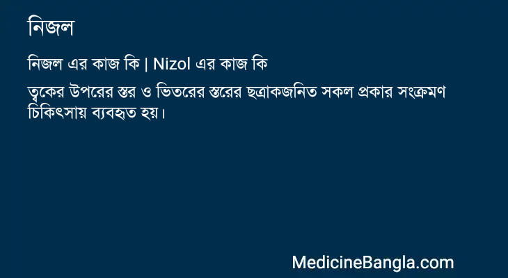 নিজল এর কাজ নিজল in Bangla