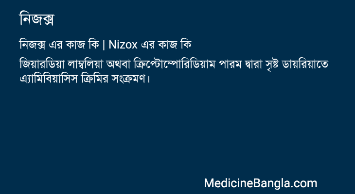 নিজক্স এর কাজ নিজক্স in Bangla