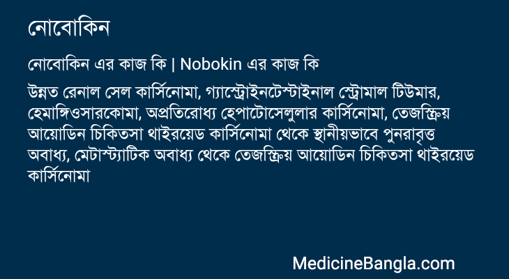 নোবোকিন এর কাজ নোবোকিন in Bangla