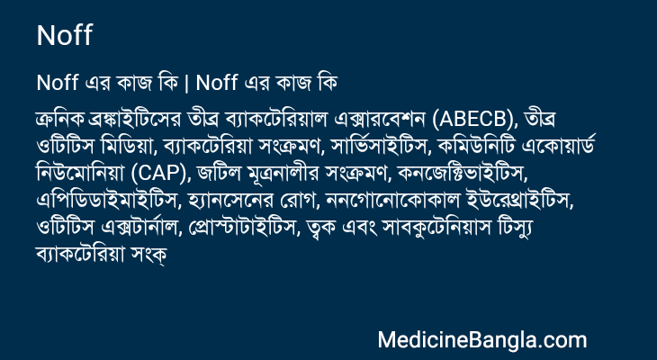 Noff এর কাজ Noff in Bangla