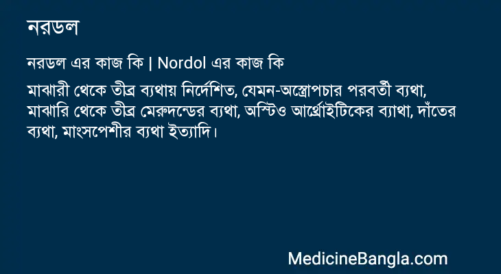 নরডল এর কাজ নরডল in Bangla