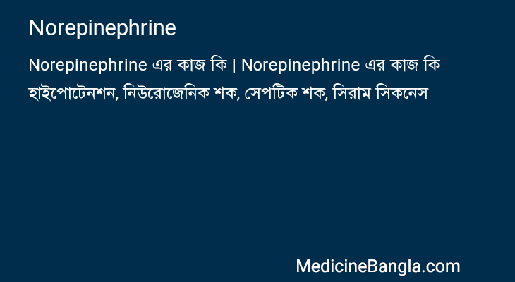 Norepinephrine এর কাজ Norepinephrine in Bangla