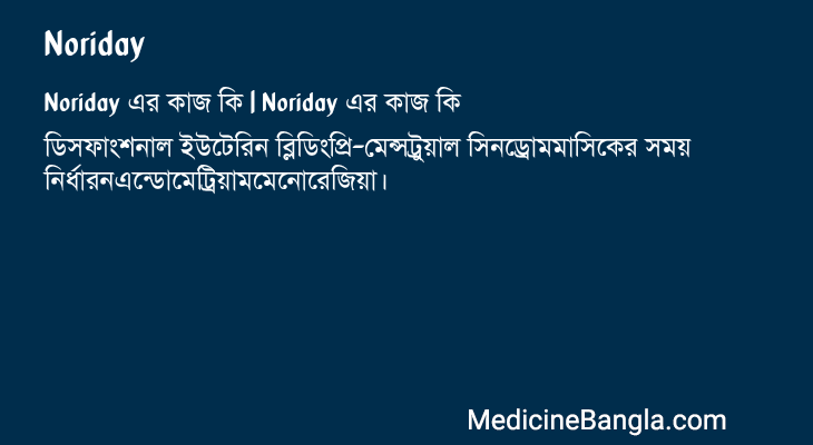 Noriday এর কাজ Noriday in Bangla