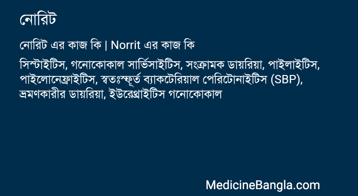 নোরিট এর কাজ নোরিট in Bangla