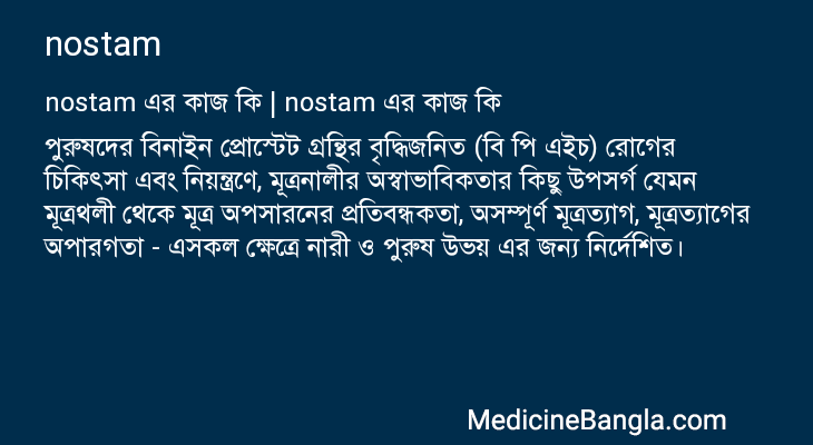 nostam এর কাজ nostam in Bangla