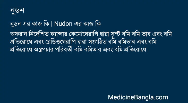 নুডন এর কাজ নুডন in Bangla