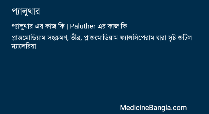প্যালুথার এর কাজ প্যালুথার in Bangla