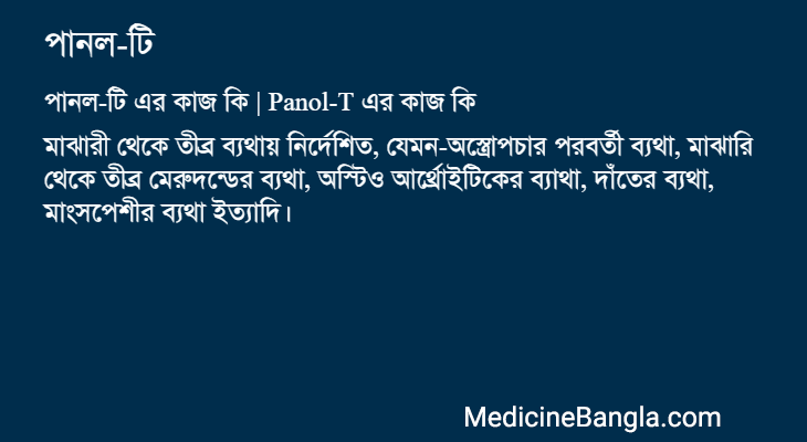 পানল-টি এর কাজ পানল-টি in Bangla