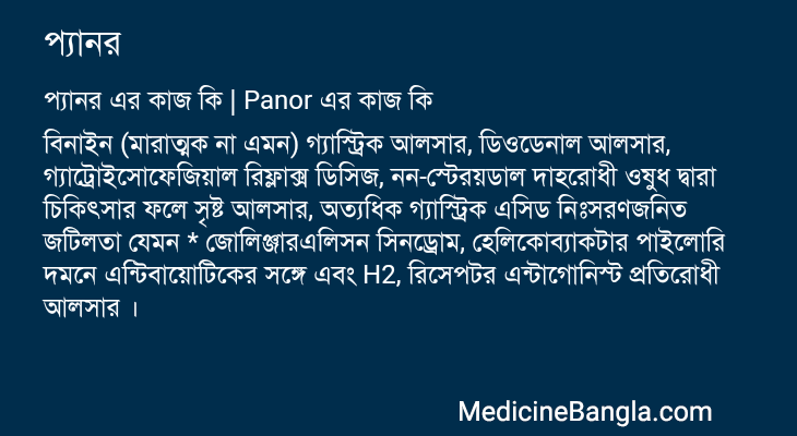 প্যানর এর কাজ প্যানর in Bangla