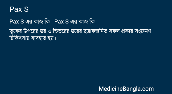 Pax S এর কাজ Pax S in Bangla
