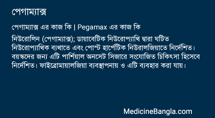 পেগাম্যাক্স এর কাজ পেগাম্যাক্স in Bangla