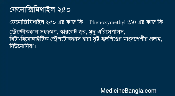 ফেনোক্সিমিথাইল ২৫০ এর কাজ ফেনোক্সিমিথাইল ২৫০ in Bangla