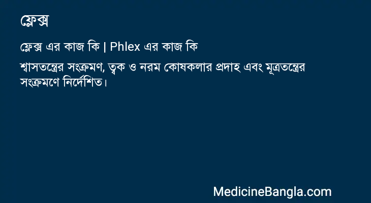 ফ্লেক্স এর কাজ ফ্লেক্স in Bangla