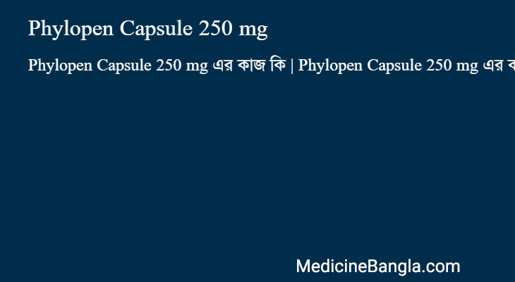 Phylopen Capsule 250 mg এর কাজ Phylopen Capsule 250 mg in Bangla