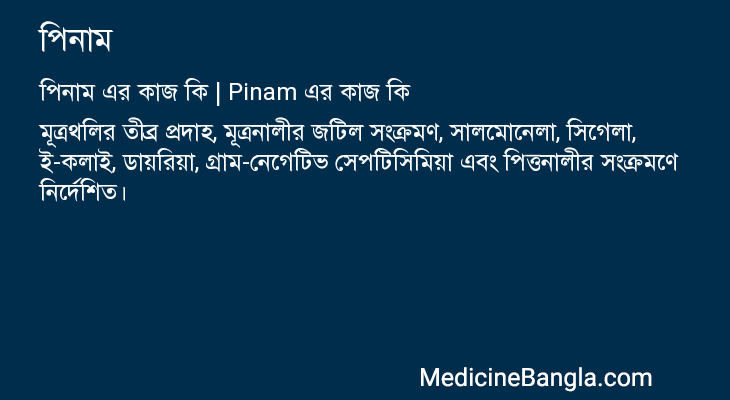 পিনাম in Bangla