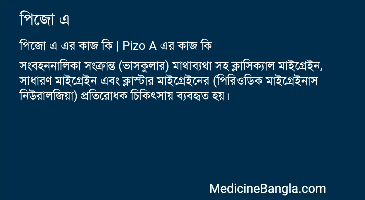 পিজো এ এর কাজ পিজো এ in Bangla