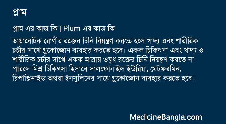প্লাম এর কাজ প্লাম in Bangla