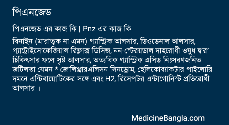 পিএনজেড এর কাজ পিএনজেড in Bangla