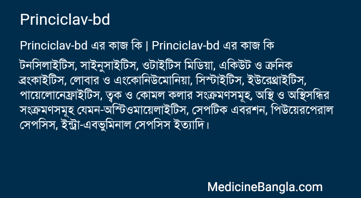 Princiclav-bd এর কাজ Princiclav-bd in Bangla