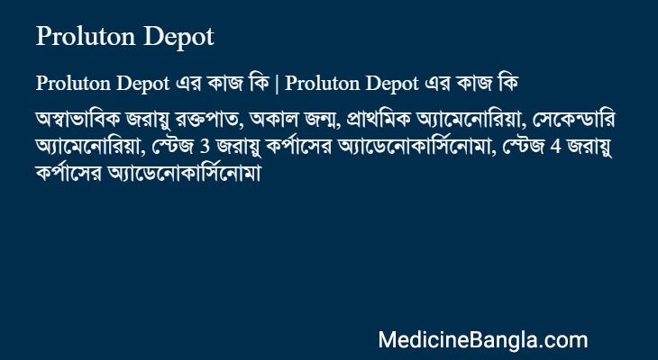 Proluton Depot এর কাজ Proluton Depot in Bangla