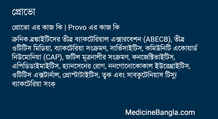 প্রোভো এর কাজ প্রোভো in Bangla