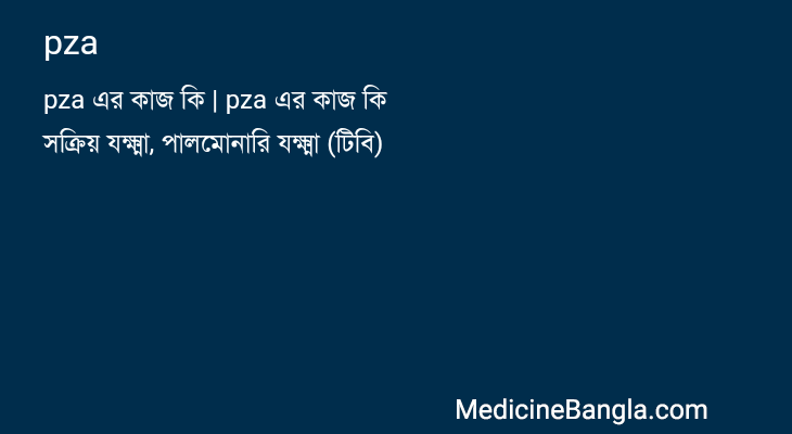 pza in Bangla