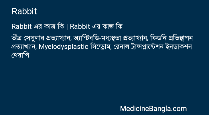 Rabbit এর কাজ Rabbit in Bangla