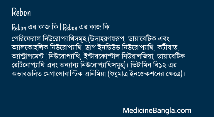 Rebon এর কাজ Rebon in Bangla