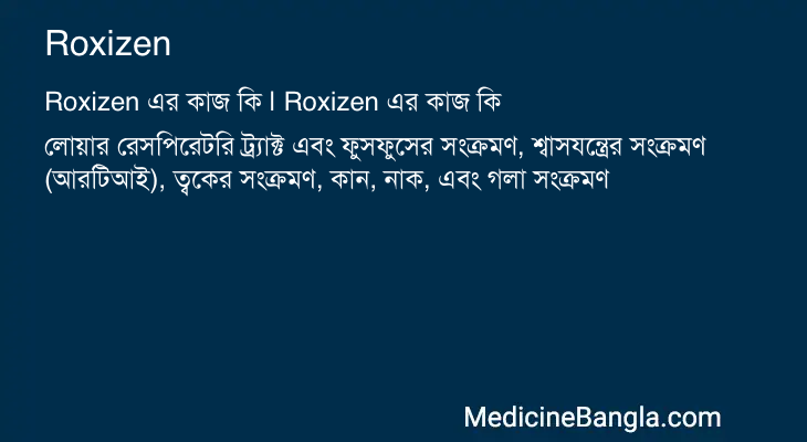 Roxizen এর কাজ Roxizen in Bangla