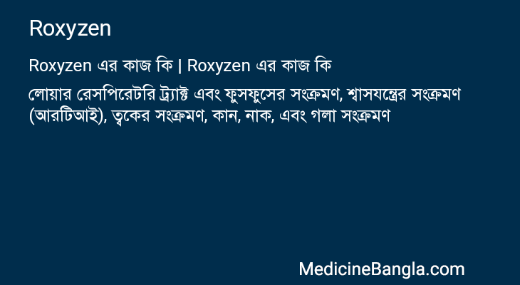 Roxyzen এর কাজ Roxyzen in Bangla