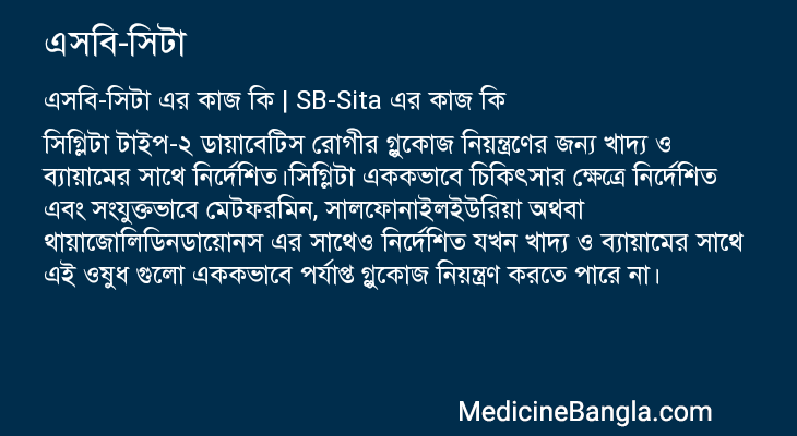 এসবি-সিটা এর কাজ এসবি-সিটা in Bangla