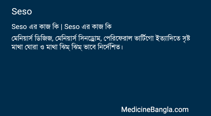 Seso এর কাজ Seso in Bangla