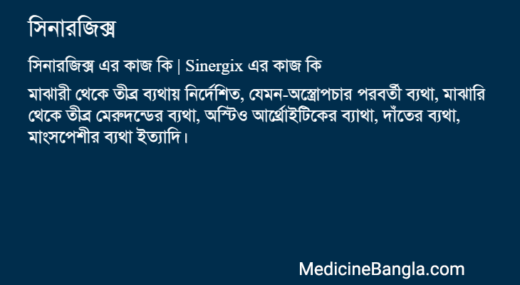সিনারজিক্স এর কাজ সিনারজিক্স in Bangla