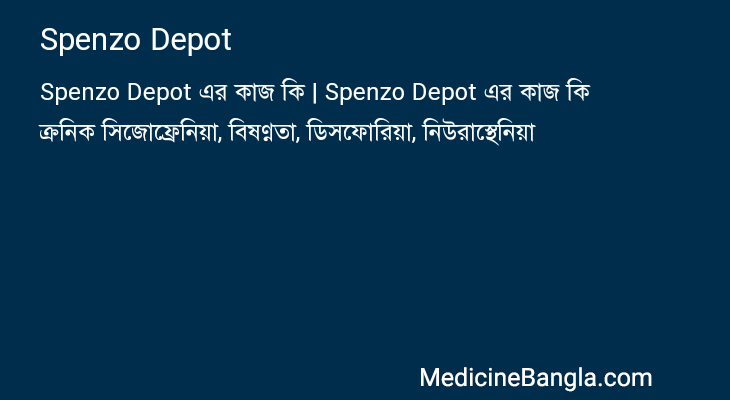 Spenzo Depot এর কাজ Spenzo Depot in Bangla
