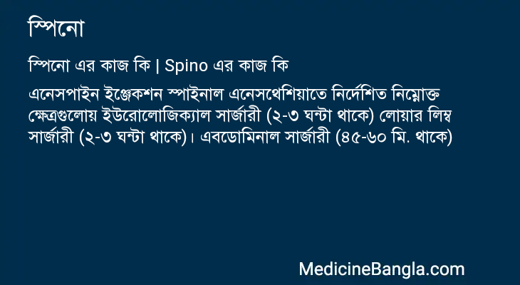 স্পিনো এর কাজ স্পিনো in Bangla