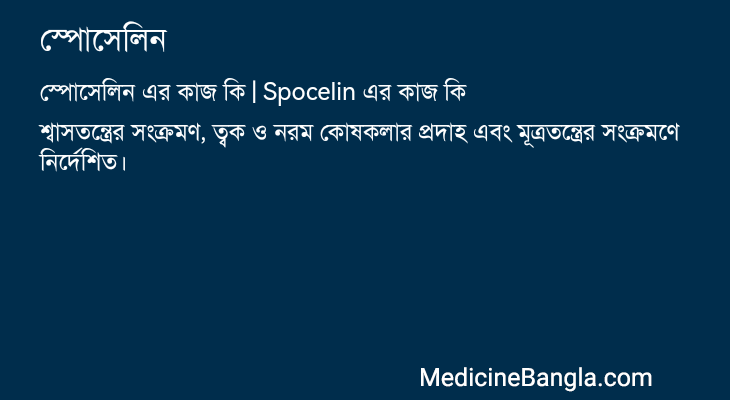 স্পোসেলিন এর কাজ স্পোসেলিন in Bangla