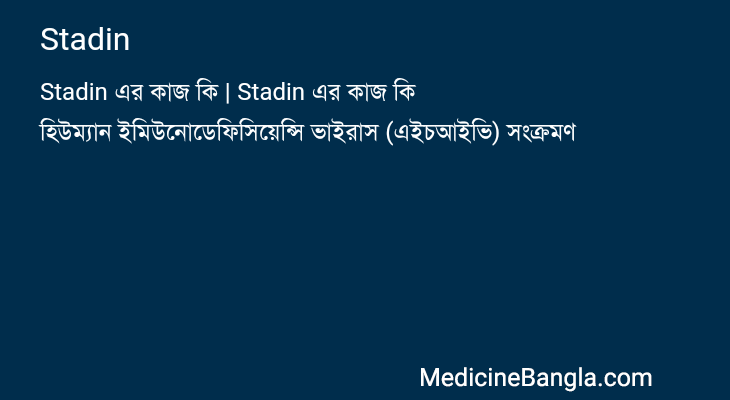 Stadin in Bangla