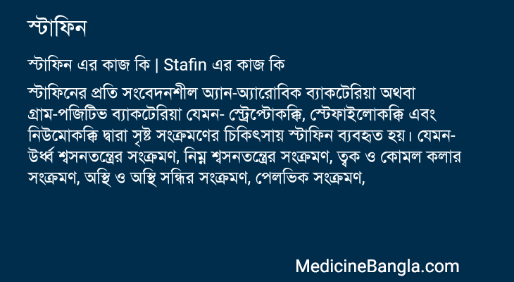 স্টাফিন এর কাজ স্টাফিন in Bangla