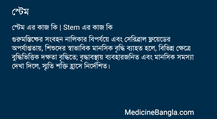 স্টেম এর কাজ স্টেম in Bangla