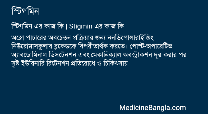 স্টিগমিন এর কাজ স্টিগমিন in Bangla