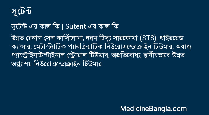 সুটেন্ট এর কাজ সুটেন্ট in Bangla