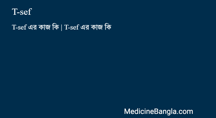 T-sef এর কাজ T-sef in Bangla