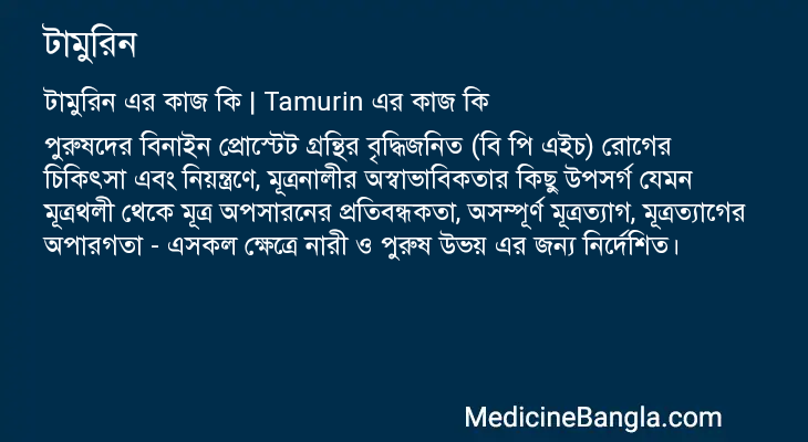 টামুরিন এর কাজ টামুরিন in Bangla
