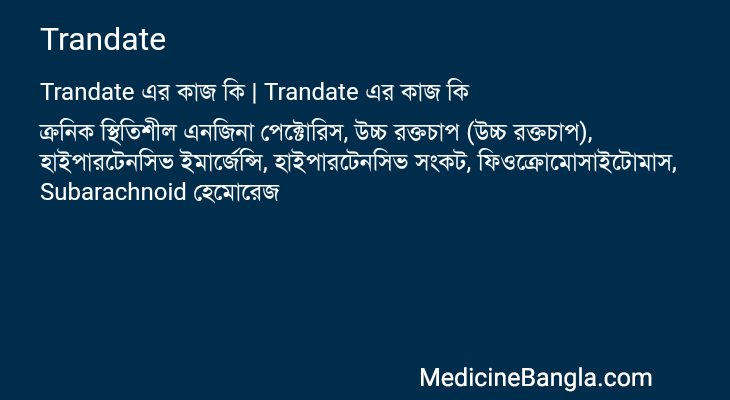 Trandate এর কাজ Trandate in Bangla